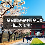 复合肥磷铵钾肥今日价格走势如何?(图2) 复合肥磷铵钾肥今日价格走势如何?(图2)