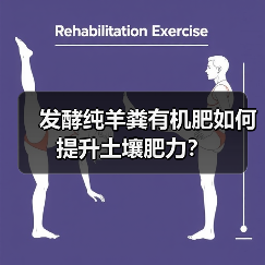 发酵纯羊粪有机肥如何提升土壤肥力？（图1）