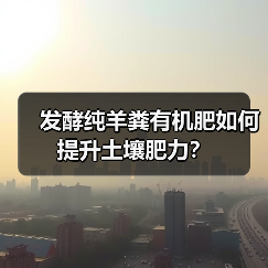 发酵纯羊粪有机肥如何提升土壤肥力？（图3）