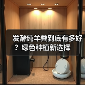 发酵纯羊粪到底有多好？绿色种植新选择（图2）