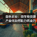 白色农业:微生物资源产业化如何助力农业升级?(图1) 白色农业:微生物资源产业化如何助力农业升级?(图1)