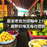 尿素市场为何稳中上行?最新价格及库存数据解析(图3) 尿素市场为何稳中上行?最新价格及库存数据解析(图3)