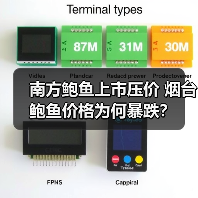 烟台鲍鱼价格暴跌三成!供需变化如何影响市场?-辰飞雨绿源新宇 烟台鲍鱼价格暴跌三成!供需变化如何影响市场?-辰飞雨绿源新宇