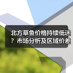 北方草鱼价格持续低迷？市场分析及区域价差揭秘（图2）