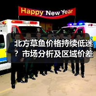 北方草鱼价格持续低迷？市场分析及区域价差揭秘（图4）