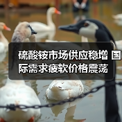 硫酸铵市场供应稳增 国际需求疲软价格震荡（图3）
