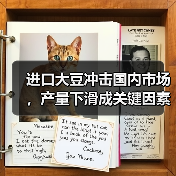 进口大豆冲击国内市场,产量下滑成关键因素?(图1) 进口大豆冲击国内市场,产量下滑成关键因素?(图1)