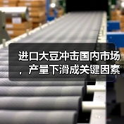 进口大豆冲击国内市场,产量下滑成关键因素?(图3) 进口大豆冲击国内市场,产量下滑成关键因素?(图3)