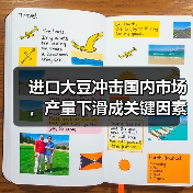 进口大豆冲击国内市场,产量下滑成关键因素?(图4) 进口大豆冲击国内市场,产量下滑成关键因素?(图4)