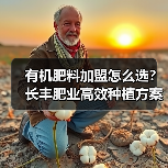 有机肥料加盟怎么选？长丰肥业高效种植方案（图4）