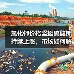 氯化钾价格坚挺硫酸钾持续上涨，市场如何解读（图3）