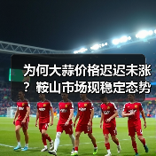 为何大蒜价格迟迟未涨？鞍山市场现稳定态势（图4）