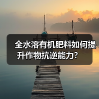 全水溶有机肥料如何提升作物抗逆能力？（图2）