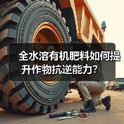 全水溶有机肥料如何提升作物抗逆能力？（图3）