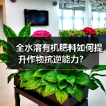 全水溶有机肥料如何提升作物抗逆能力？（图4）