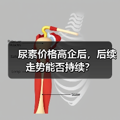 尿素价格高企后,后续走势能否持续?(图4) 尿素价格高企后,后续走势能否持续?(图4)