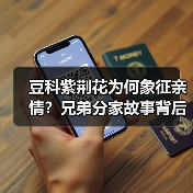 豆科紫荆花为何象征亲情?兄弟分家故事背后的寓意(图4) 豆科紫荆花为何象征亲情?兄弟分家故事背后的寓意(图4)