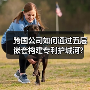 跨国公司如何通过五层嵌套构建专利护城河？专利布局策略解析（图2）