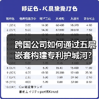 跨国公司如何通过五层嵌套构建专利护城河？专利布局策略解析（图4）