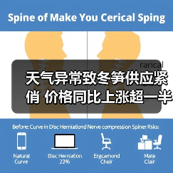 天气异常致冬笋供应紧俏 价格同比上涨超一半(图3) 天气异常致冬笋供应紧俏 价格同比上涨超一半(图3)