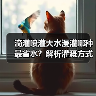 滴灌喷灌大水漫灌哪种最省水?解析灌溉方式选择(图1) 滴灌喷灌大水漫灌哪种最省水?解析灌溉方式选择(图1)