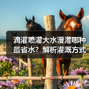 滴灌喷灌大水漫灌哪种最省水?解析灌溉方式选择(图2) 滴灌喷灌大水漫灌哪种最省水?解析灌溉方式选择(图2)
