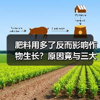 肥料用多了反而影响作物生长?原因竟与三大元素有关!(图2) 肥料用多了反而影响作物生长?原因竟与三大元素有关!(图2)