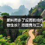肥料用多了反而影响作物生长?原因竟与三大元素有关!(图1) 肥料用多了反而影响作物生长?原因竟与三大元素有关!(图1)
