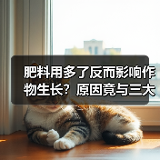 肥料用多了反而影响作物生长?原因竟与三大元素有关!(图3) 肥料用多了反而影响作物生长?原因竟与三大元素有关!(图3)