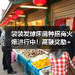 袋装发酵床菌种招商火爆进行中!高额奖励+全程扶持,助你轻松创业!(图4) 袋装发酵床菌种招商火爆进行中!高额奖励+全程扶持,助你轻松创业!(图4)