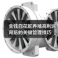 金钱白花蛇养殖高利润背后的关键管理技巧(图4) 金钱白花蛇养殖高利润背后的关键管理技巧(图4)