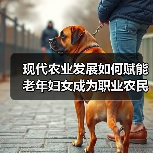 现代农业发展如何赋能老年妇女成为职业农民(图3) 现代农业发展如何赋能老年妇女成为职业农民(图3)
