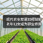 现代农业发展如何赋能老年妇女成为职业农民(图4) 现代农业发展如何赋能老年妇女成为职业农民(图4)