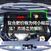 复合肥价格为何小幅震荡？市场走势解析（图1）