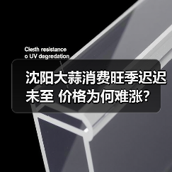 沈阳大蒜消费旺季迟迟未至 价格为何难涨?(图3) 沈阳大蒜消费旺季迟迟未至 价格为何难涨?(图3)