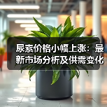 尿素价格小幅上涨：最新市场分析及供需变化解读（图2）