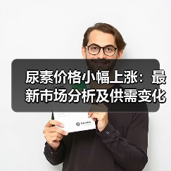 尿素价格小幅上涨：最新市场分析及供需变化解读（图4）