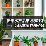 贵阳水产品市场涨跌不一:为啥基围虾涨价鲍鱼跌价?(图3) 贵阳水产品市场涨跌不一:为啥基围虾涨价鲍鱼跌价?(图3)