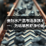 贵阳水产品市场涨跌不一:为啥基围虾涨价鲍鱼跌价?(图4) 贵阳水产品市场涨跌不一:为啥基围虾涨价鲍鱼跌价?(图4)