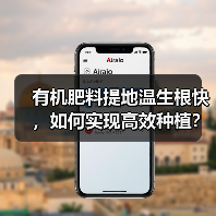 有机肥料提地温生根快,如何实现高效种植?(图3) 有机肥料提地温生根快,如何实现高效种植?(图3)