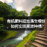 有机肥料提地温生根快,如何实现高效种植?(图4) 有机肥料提地温生根快,如何实现高效种植?(图4)