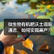 微生物有机肥沃土调酸通透,如何实现高产?(图2) 微生物有机肥沃土调酸通透,如何实现高产?(图2)