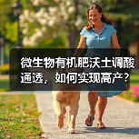 微生物有机肥沃土调酸通透,如何实现高产?(图1) 微生物有机肥沃土调酸通透,如何实现高产?(图1)