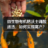 微生物有机肥沃土调酸通透,如何实现高产?(图3) 微生物有机肥沃土调酸通透,如何实现高产?(图3)