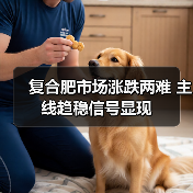 复合肥市场涨跌两难 主线趋稳信号显现(图3) 复合肥市场涨跌两难 主线趋稳信号显现(图3)