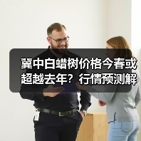 冀中白蜡树价格今春或超越去年?行情预测解析(图2) 冀中白蜡树价格今春或超越去年?行情预测解析(图2)