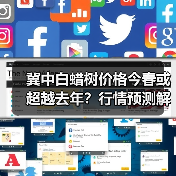 冀中白蜡树价格今春或超越去年?行情预测解析(图1) 冀中白蜡树价格今春或超越去年?行情预测解析(图1)