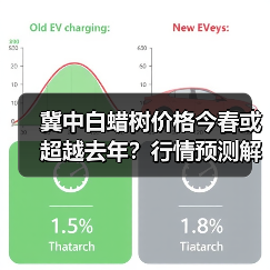 冀中白蜡树价格今春或超越去年?行情预测解析(图4) 冀中白蜡树价格今春或超越去年?行情预测解析(图4)