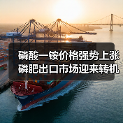 磷酸一铵价格强势上涨 磷肥出口市场迎来转机(图2) 磷酸一铵价格强势上涨 磷肥出口市场迎来转机(图2)