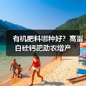 有机肥料哪种好？高蛋白硅钙肥助农增产（图2）